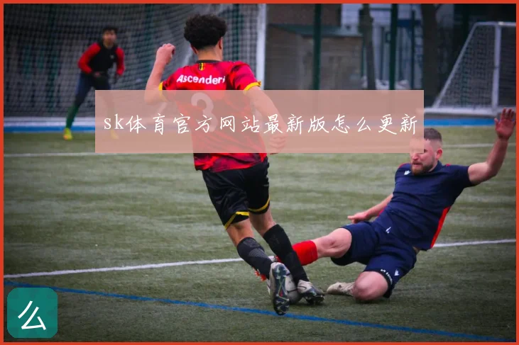 sk体育官方网站最新版怎么更新