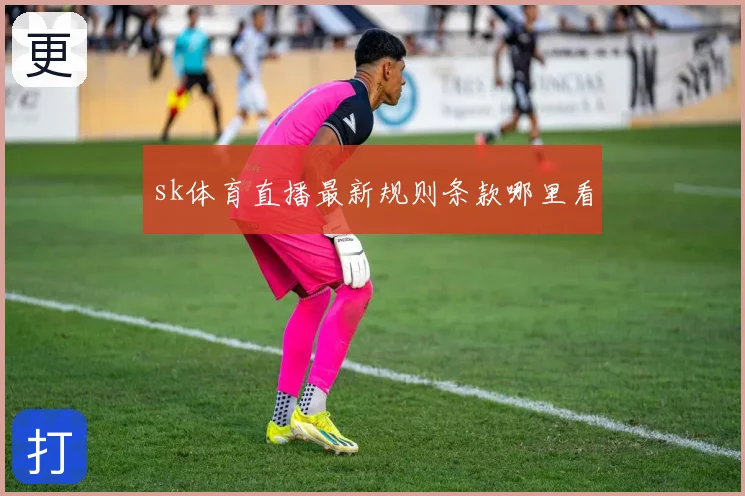 sk体育直播最新规则条款哪里看