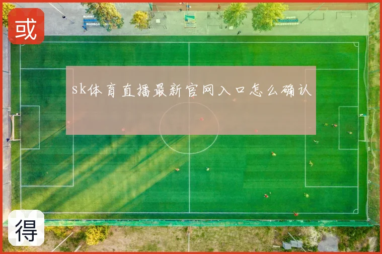 sk体育直播最新官网入口怎么确认